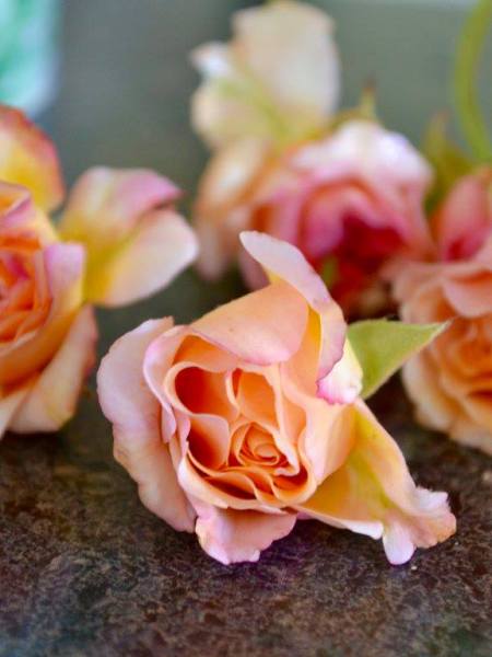 Crafting the Contents